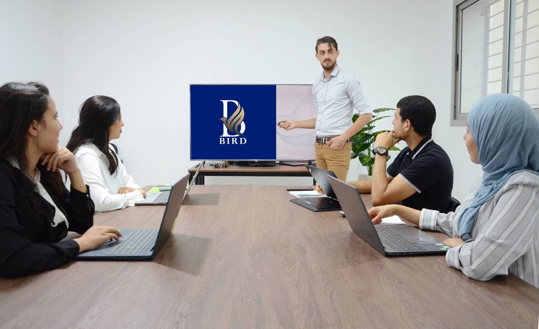 About Bird Training & Consulting